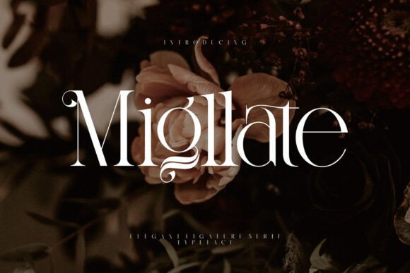 Migllate: A Modern Serif Font for Digital Elegance