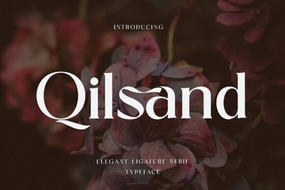 Testing Qilsand: A Modern Serif Font for Elegant Branding